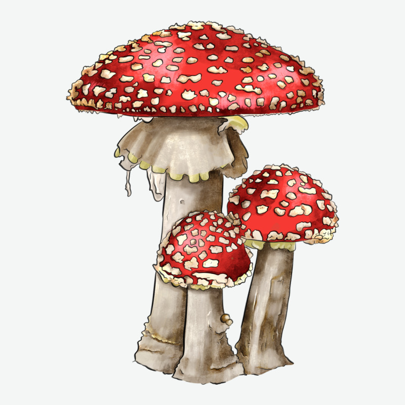 Autumn Mushroom Illustrations Urban Heavy Tee by LillyAllenDesigns | Teevron