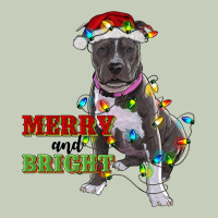 Merry And Bright Pitbull Ladies Tee | Teevron