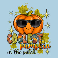 Coolest Pumpkin In The Patch Premium Hoodie | Teevron