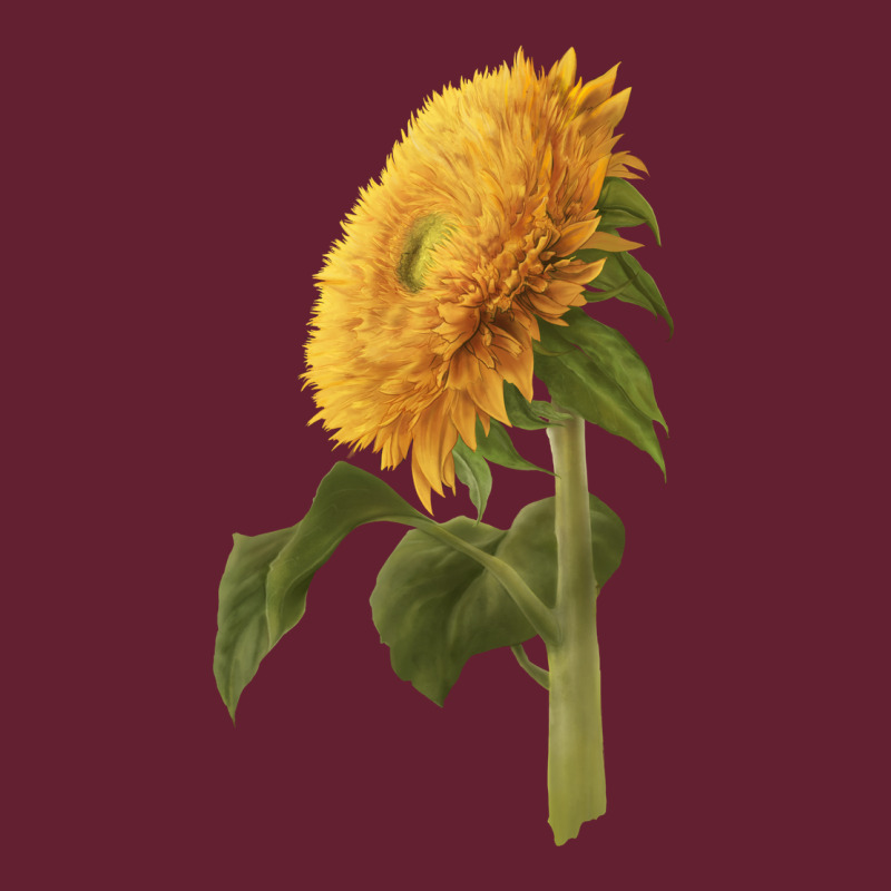 Teddy Bear Sunflower Classic Tee by LillyAllenDesigns | Teevron