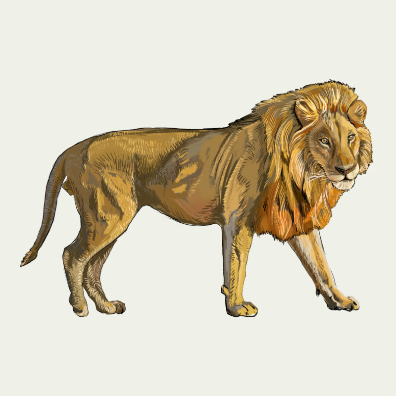 Lion Urban Heavy Tee by LillyAllenDesigns | Teevron