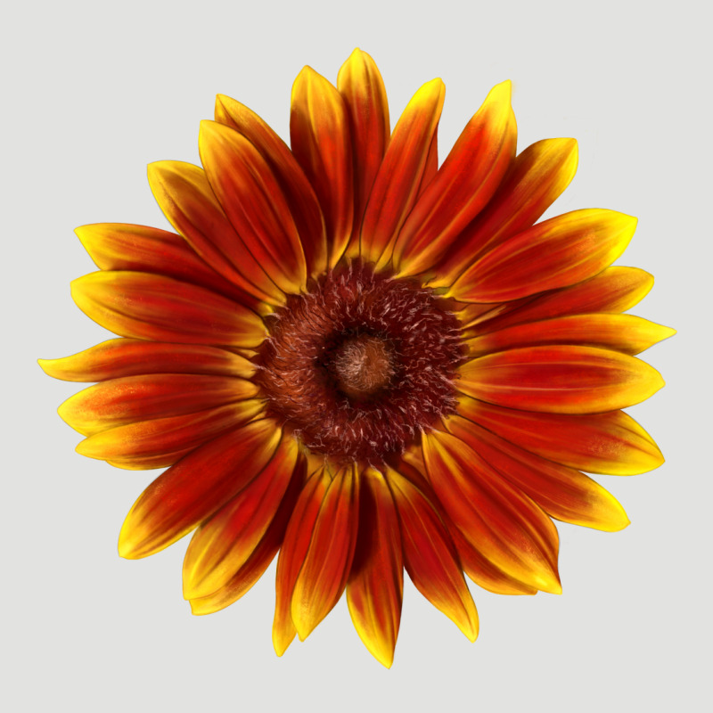Little Becka Sunflower Classic Tee by LillyAllenDesigns | Teevron