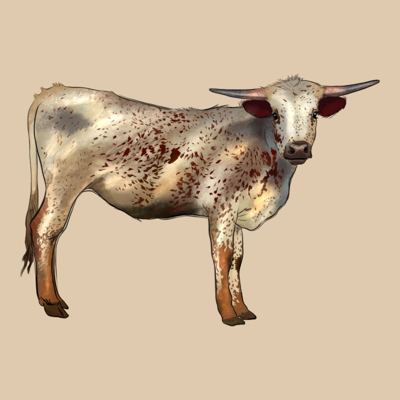 Texas Longhorn Heifer Heavyweight Sweatshirt by LillyAllenDesigns | Teevron