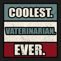 Coolest Veterinarian Ever Heavyweight Hoodie | Teevron
