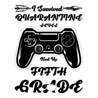 I Survived Quarantine Level Next Fifth Grade | Teevron