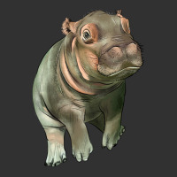 Baby Hippo Urban Heavy Tee | Teevron