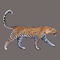 Leopard Urban Heavy Tee | Teevron
