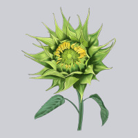 Sun Fill Green Green Sunflower Classic Tee | Teevron