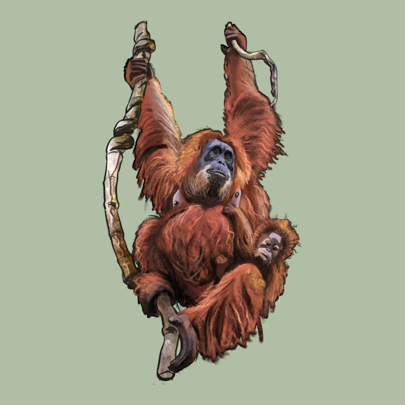 Orangutan And Baby Urban Heavy Tee by LillyAllenDesigns | Teevron