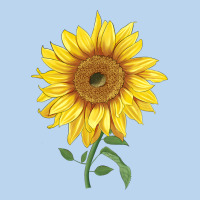 Bambino Sunflower Classic Tee | Teevron