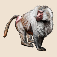 Baboon Urban Heavy Tee | Teevron