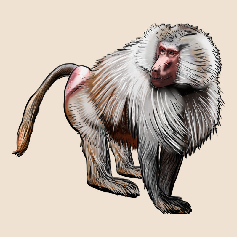 Baboon Urban Heavy Tee by LillyAllenDesigns | Teevron