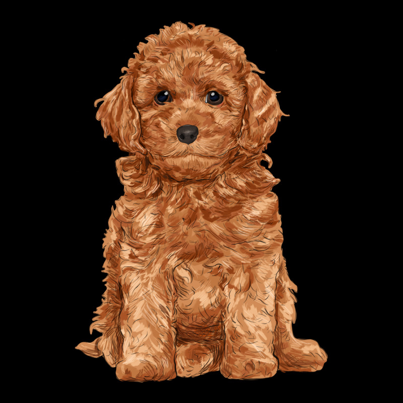 Toy Poodle Ladies Tee by RanaPortraitStore | Teevron