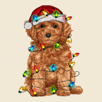 Toy Poodle With Christmas Lights Ladies Tee | Teevron