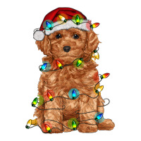 toy poodle with christmas lights | Teevron