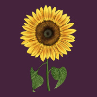 Giganteus Sunflower Classic Tee | Teevron