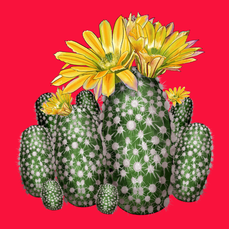 Texas Rainbow Cactus Classic Tee by LillyAllenDesigns | Teevron