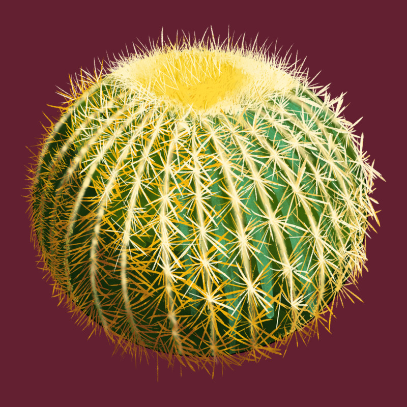 Golden Barrel Cactus Classic Tee by LillyAllenDesigns | Teevron