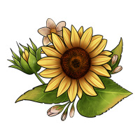 sunflower | Teevron