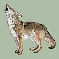 Howling Coyote Urban Heavy Tee | Teevron