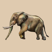 Elephant Heavyweight Sweatshirt | Teevron