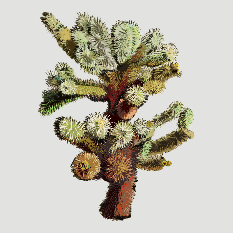 Cholla Tree Cactus Classic Tee by LillyAllenDesigns | Teevron