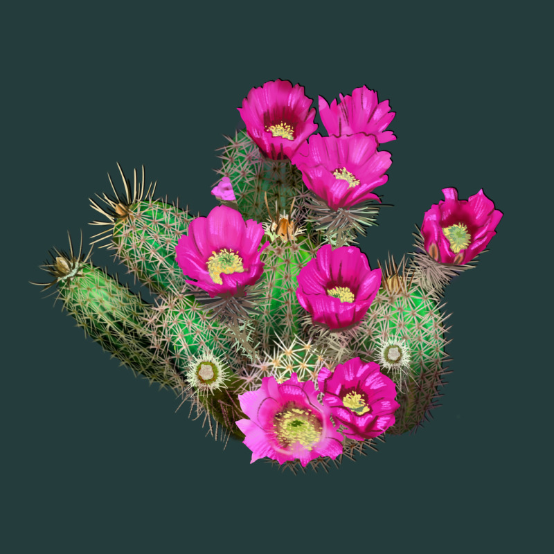 Strawberry Hedgehog Cactus Classic Tee by LillyAllenDesigns | Teevron