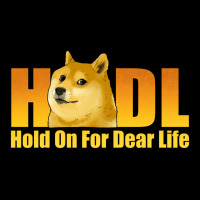 Hodl Hold On For Dear Life Dogecoin Heavyweight Sweatshirt | Teevron