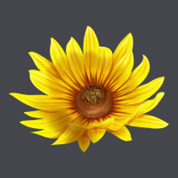 Maximillian Perennial Sunflower Classic Tee | Teevron