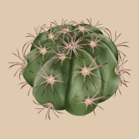 Eagle Claws Cactus Classic Tee | Teevron