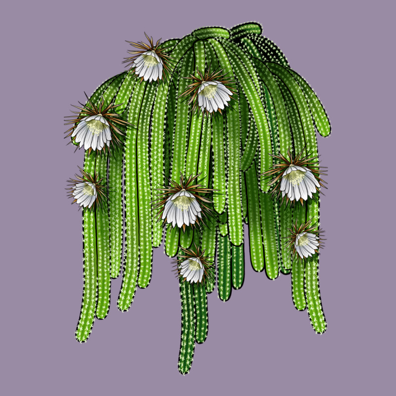 Selenicereus Cactus Classic Tee by LillyAllenDesigns | Teevron