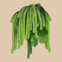 Selenicereus Cactus Classic Tee | Teevron