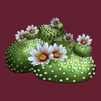 Blossfeldia Cactus Classic Tee | Teevron