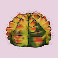 Gymnocalycium Variegated Cactus Classic Tee | Teevron