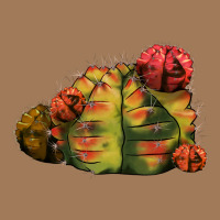 Gymnocalycium Variegated Cactus Classic Tee | Teevron