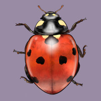 Lady Bug Classic Tee | Teevron