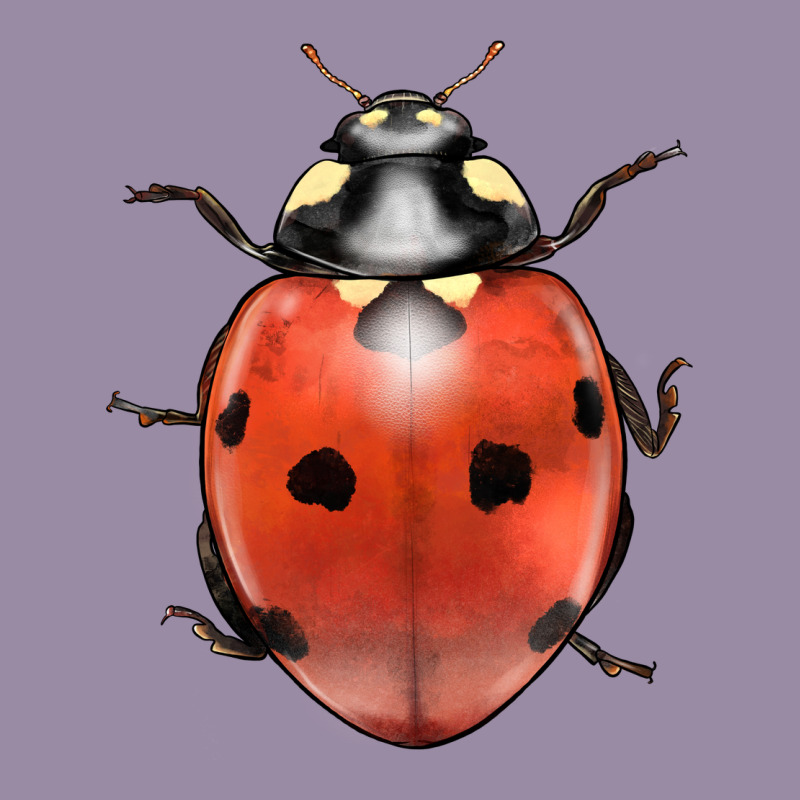 Lady Bug Classic Tee by LillyAllenDesigns | Teevron
