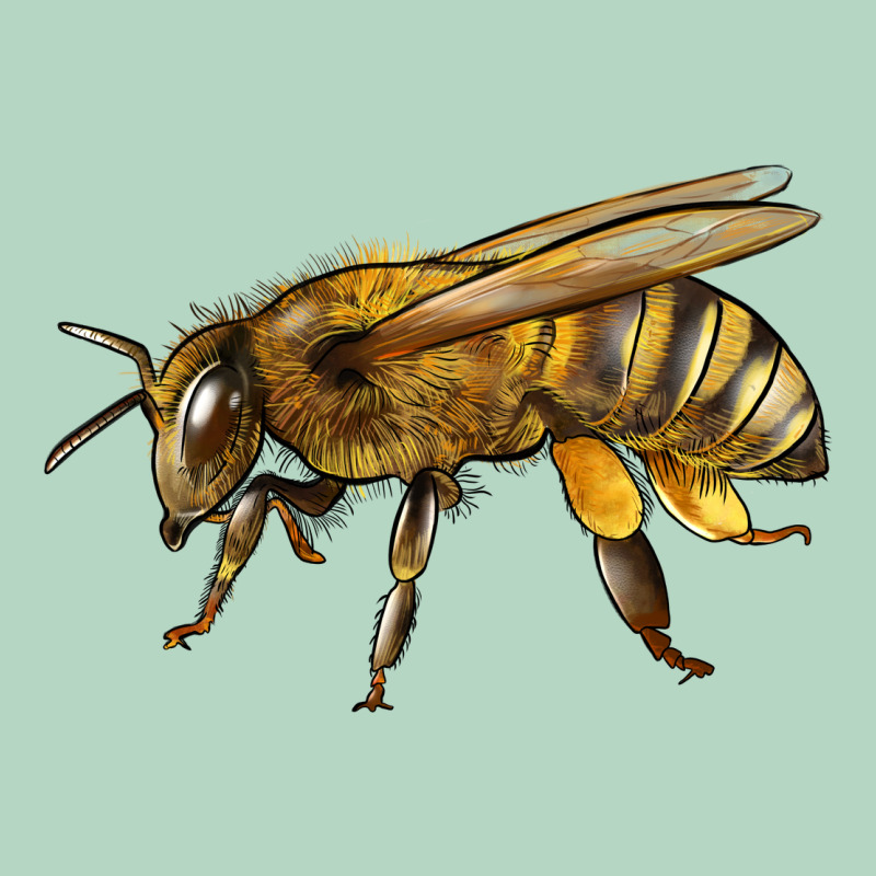 Bee Side Classic Tee by LillyAllenDesigns | Teevron
