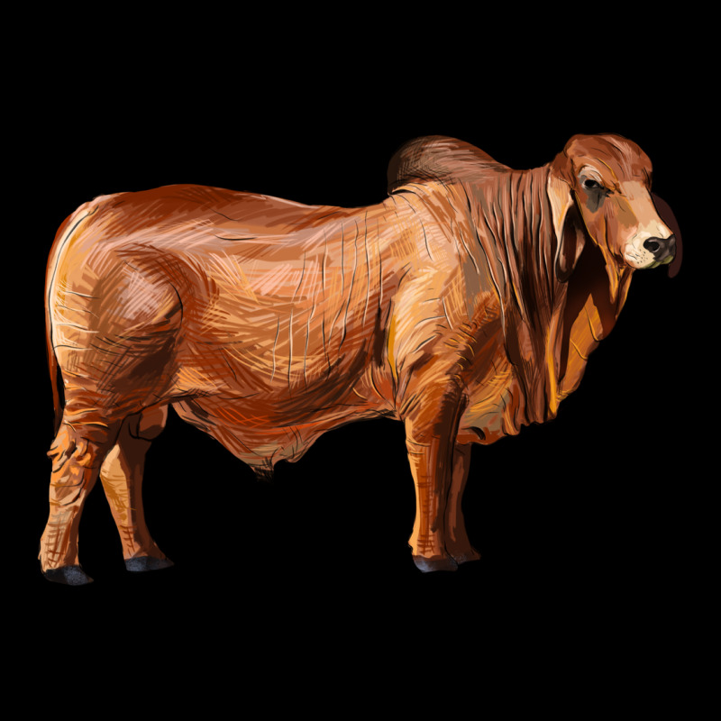 Brahman Bull Ladies Tee by RanaPortraitStore | Teevron
