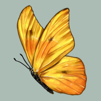 Flying Cloudless Sulphur Butterfly Classic Tee | Teevron