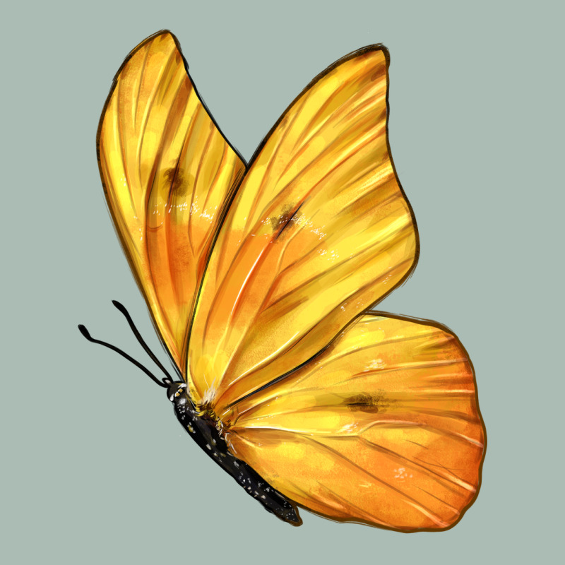 Flying Cloudless Sulphur Butterfly Classic Tee by LillyAllenDesigns | Teevron