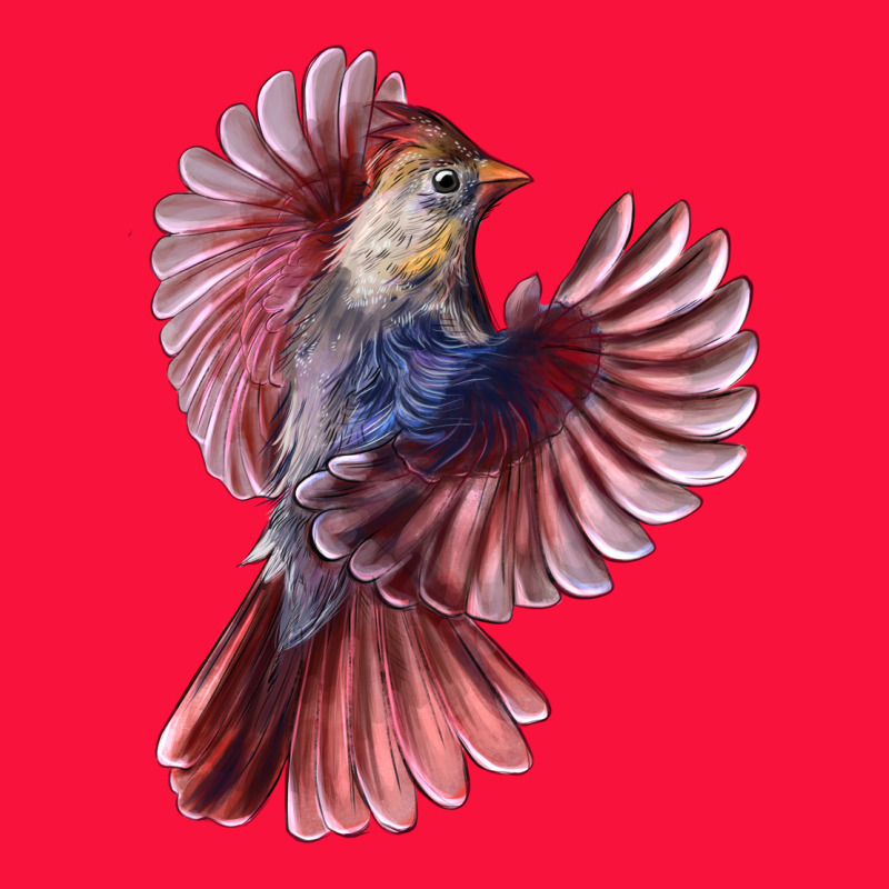 Flying Northern Cardinal Bird Classic Tee by LillyAllenDesigns | Teevron
