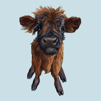 Highland Cow Calf Ladies Tee | Teevron