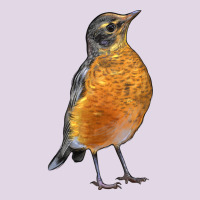 American Robin Bird Classic Tee | Teevron