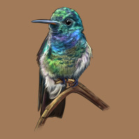 Ruby Throcuted Hummingbird Classic Tee | Teevron