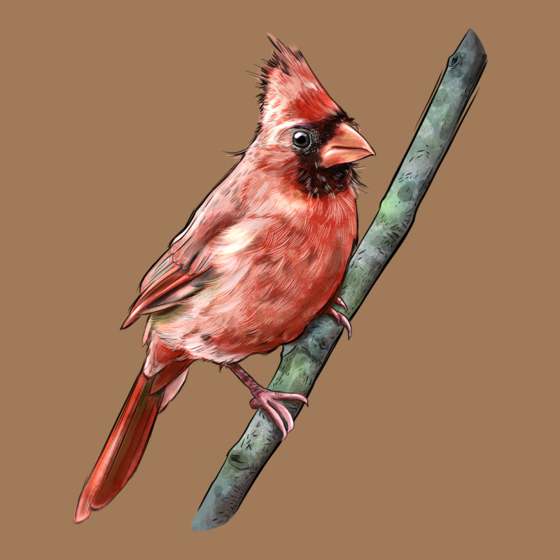 Northern Cardinal Bird Classic Tee by LillyAllenDesigns | Teevron