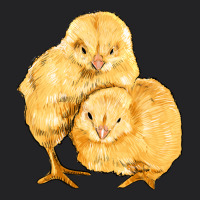 Chicks Vintage Tee | Teevron