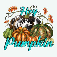 Hey Pumpkin Premium Hoodie | Teevron