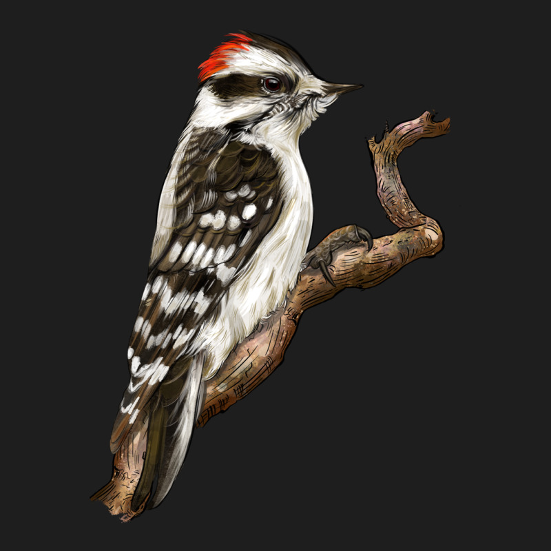 Downy Woodpecker Classic Tee by LillyAllenDesigns | Teevron