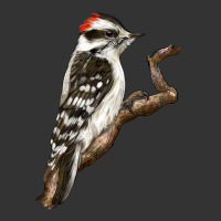 Downy Woodpecker | Teevron